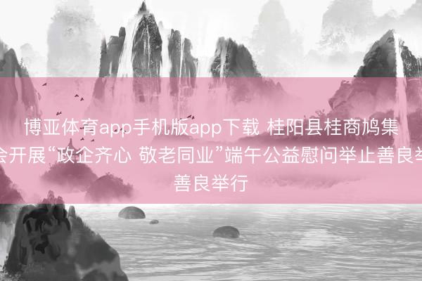 博亚体育app手机版app下载 桂阳县桂商鸠集总会开展“政企齐心 敬老同业”端午公益慰问举止善良举行